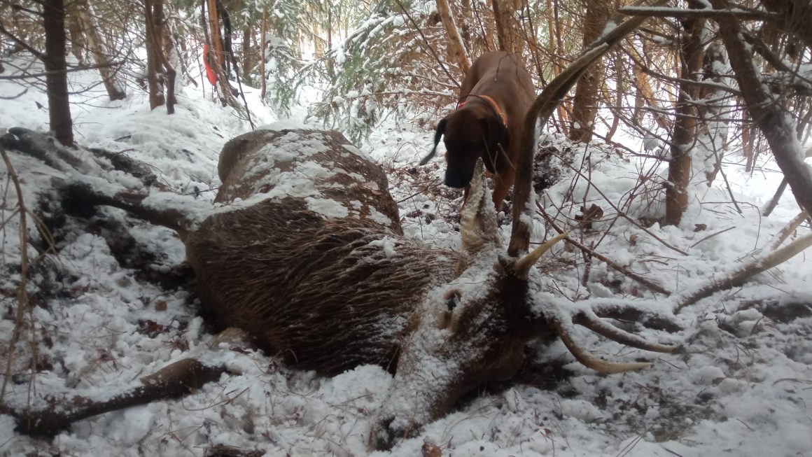 Sprawozdania za 2023 r.