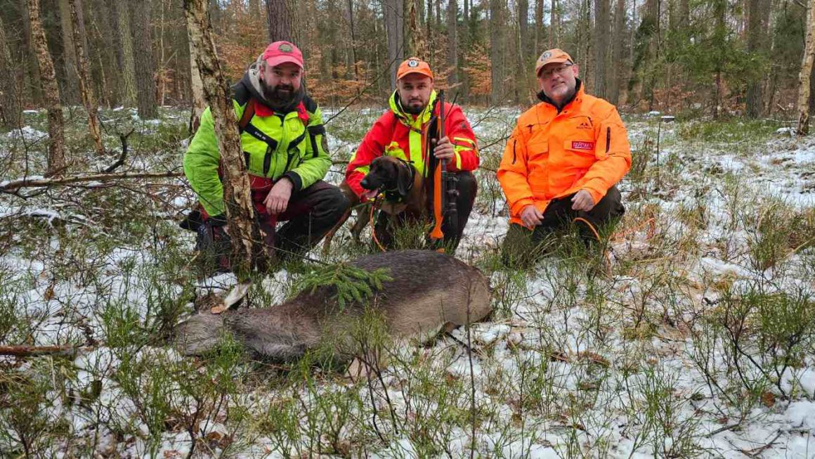 OCENA PRACY POSOKOWCÓW W NATURALNYCH WARUNKACH