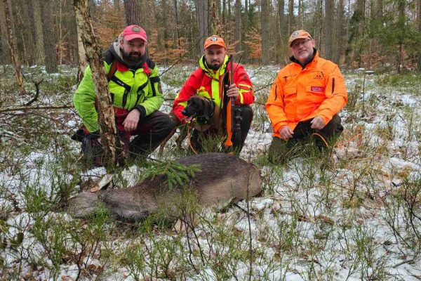 OCENA PRACY POSOKOWCÓW W NATURALNYCH WARUNKACH