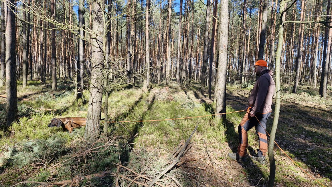 Warsztaty dla Przewodników Posokowców i Tropowców