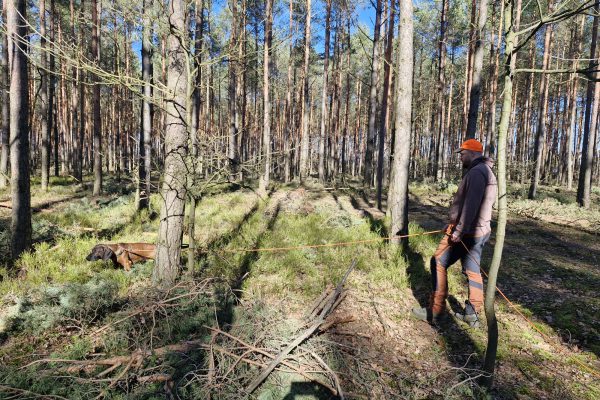 Warsztaty dla Przewodników Posokowców i Tropowców